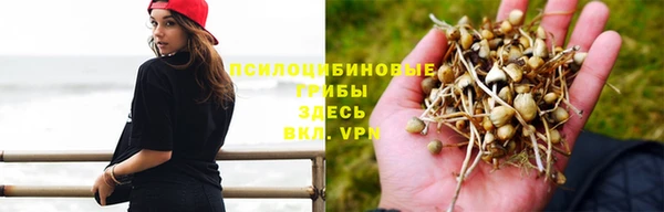MDMA Заводоуковск