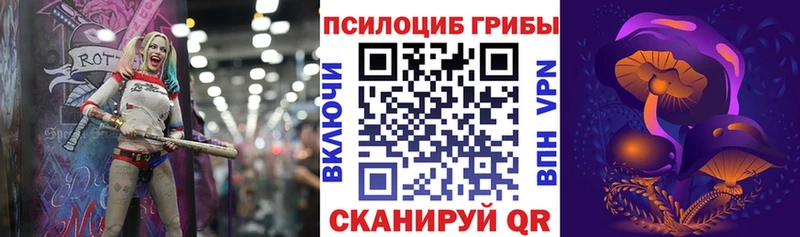Купить где  Протвино  Псилоцибиновые грибы Cubensis 